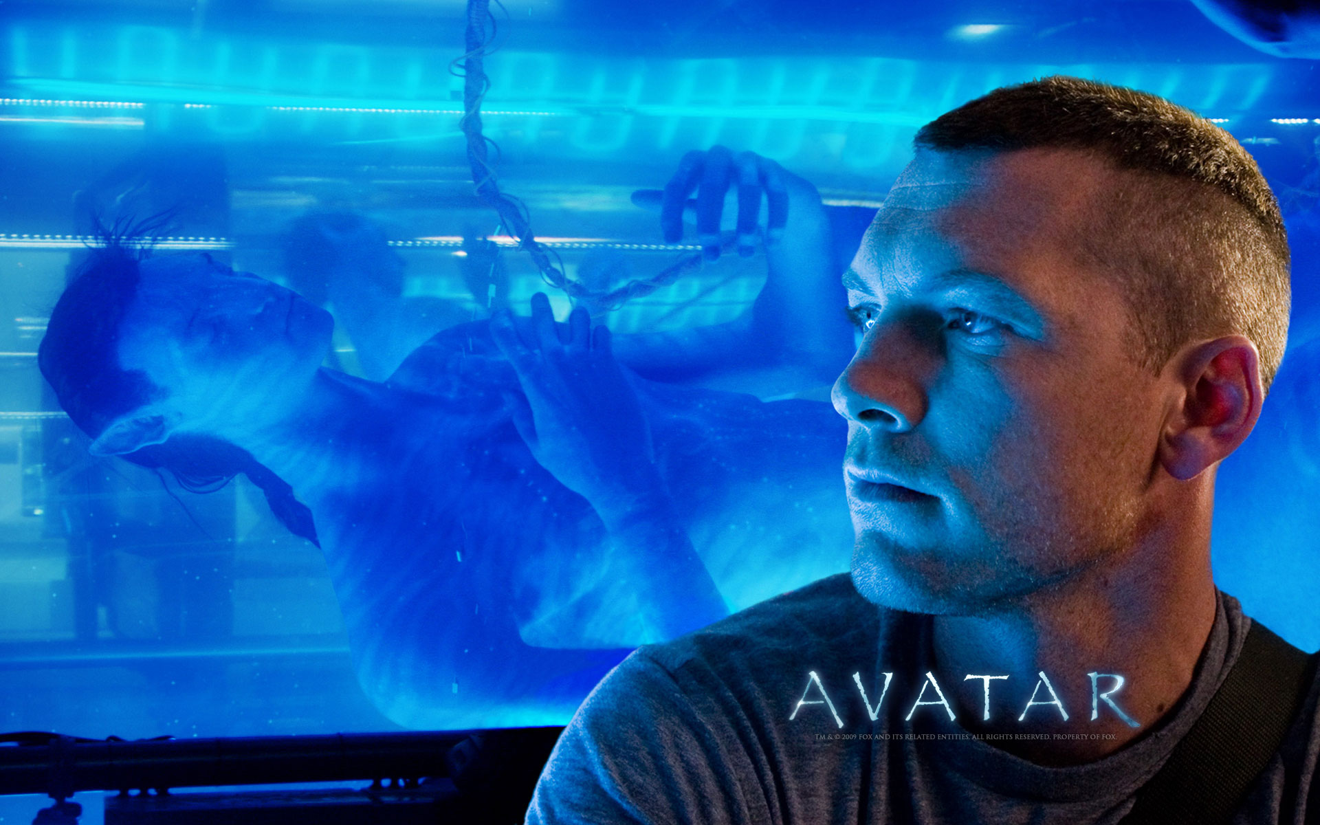 Avatar Movie (3).jpg